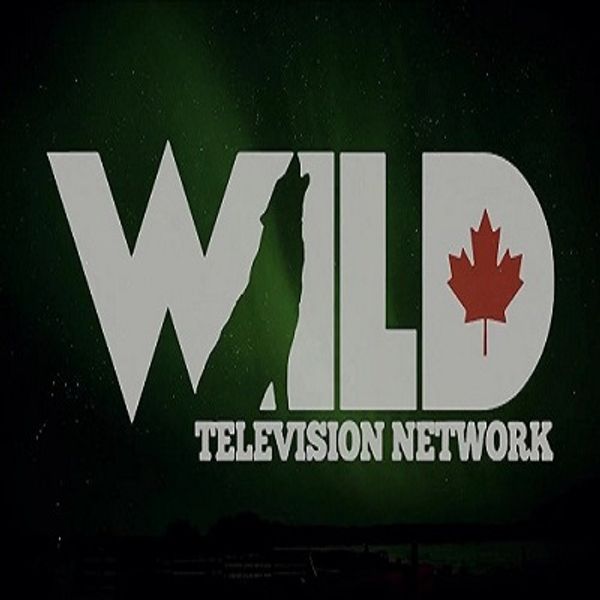 WILD TV 2